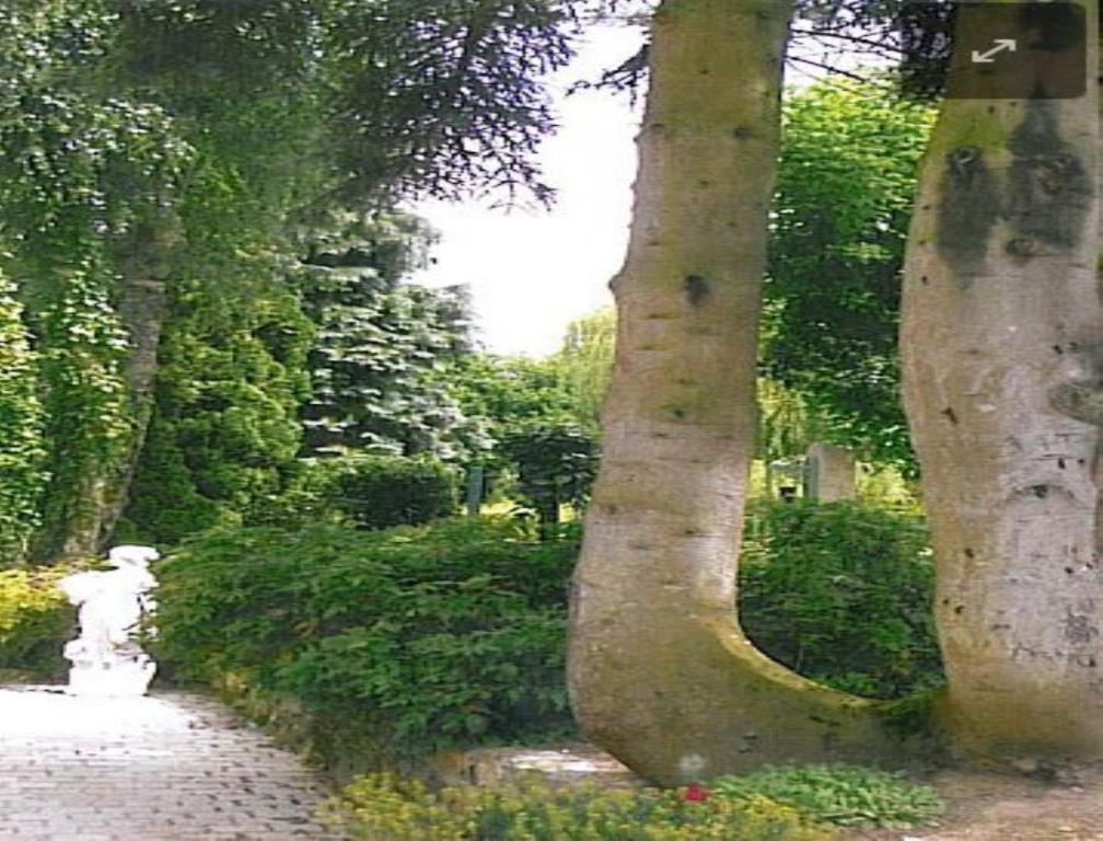 Pacé 7 , Le Haut Montraye المظهر الخارجي الصورة